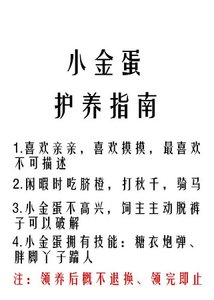 《小金蛋護養指南》
