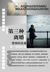 愛情的墳墓：第三種離婚