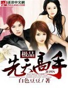 《极品先天高手》