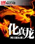 《化真龙》