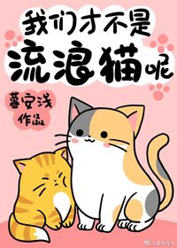 《我們才不是流浪貓呢!》