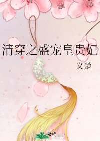 《清穿之盛宠皇贵妃》