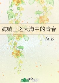《海賊王之大海中的青春》