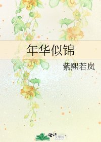 《年華似錦》