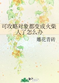 《可攻略物件都變成火柴人了怎麼辦》