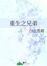 《重生之兄弟》