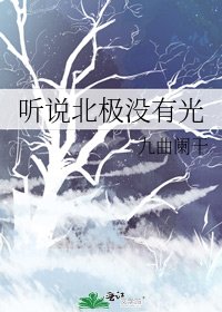 聽說北極沒有光