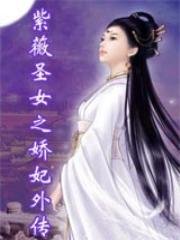《紫薇聖女之嬌妃外傳》