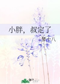 小胖，叔定了