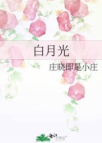 《白月光》