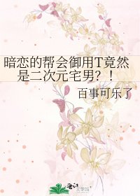 暗恋的帮会御用T竟然是二次元宅男？！